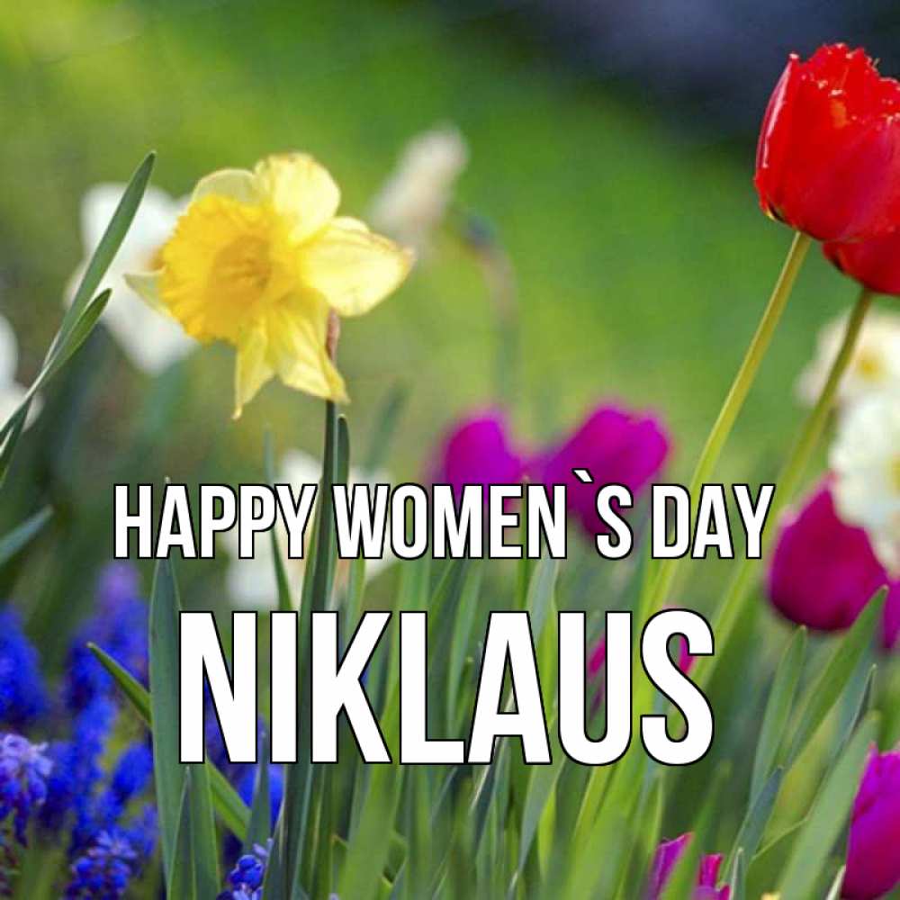 Greetings card с именем, Niklaus happy women`s day международный женский день 3 Greetings with text for free download 